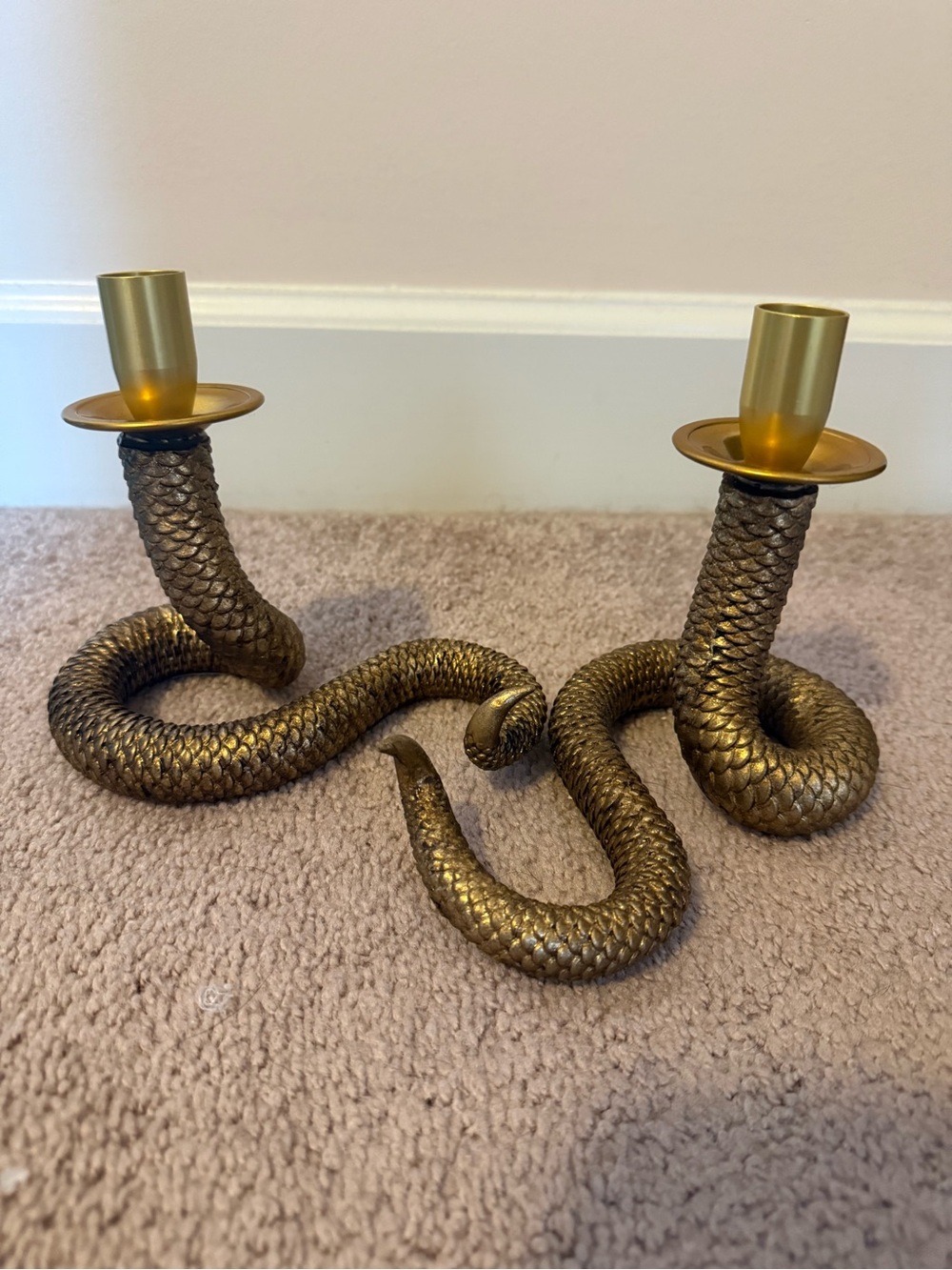 Snake collection set